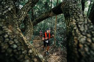 BIB: 
                            <button type="button" onclick="openModal(25392211)" class="btn btn-primary btn-sm float-right btn-popup" data-toggle="modal" data-target=".modal-high-quality">
                        <i class="fas fa-shopping-cart"></i> Add to Cart
                    </button>
                                            <button type="button" onclick="isThisMe(25392211, true)" class="btn btn-success btn-sm float-right btn-popup btn-isme hidden" data-toggle="tooltip" data-placement="bottom" title="นี่คือรูปของคุณใช่ไหม คลิกที่นี่เพื่อเอาเข้าอัลบั้ม">
                        <i class="fas fa-plus"></i> Add to album
                    </button>
                    <button type="button" onclick="isThisMe(25392211, false)" class="btn btn-warning btn-sm float-right btn-popup btn-isnotme hidden">
                        <i class="fas fa-ban"></i> Remove from album
                    </button>